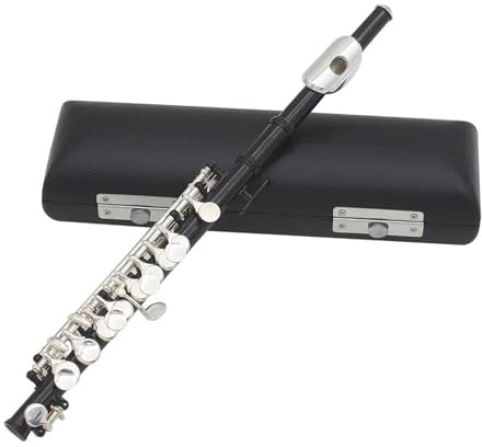 tvärflöjt instrument Nybörjarmusikinstrument C-nyckel Piccoloflöjt