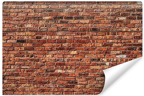 Muralo - Carta da parati 3D effetto pietra – Carta da parati in tessuto non tessuto – effetto 3D – Carta da parati per soggiorno e camera da letto – motivo mattoni – Br. 450 cm x altezza 300 cm
