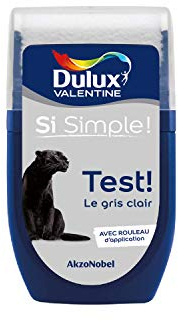 Dulux Valentine Peinture Si Simple - Testeur Couleur le Gris Clair 30 ml