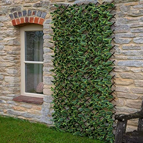 Garden Mile Hosta Treillis extensible pour clôture de jardin, treillis artificiel, salon, panneau mural topiaire, clôture d'intimité, 180 x 90 cm