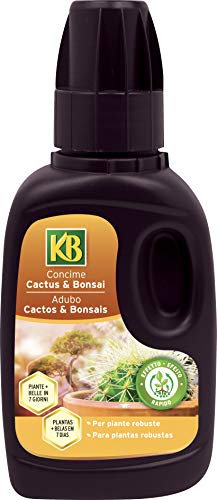 KB Concime Cactus & Bonsai 250 ml