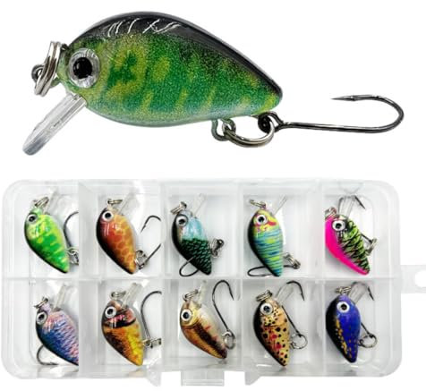 HOUSON 10PCS Angelköder, Elritze Köder Kit Forellenköder Künstlicher Kunstköder für Salzwasser Süßwasser Forelle Barsch Lachs Angeln