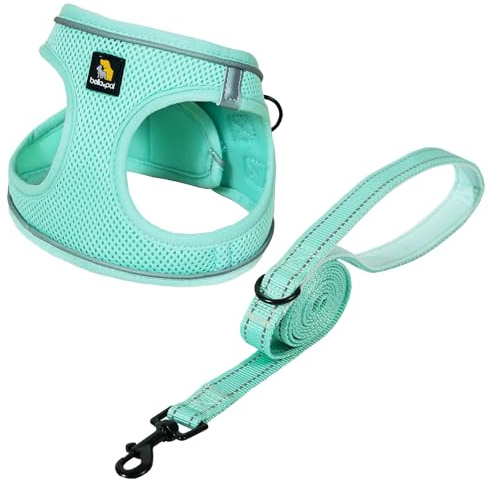 Bella&Pal Arnés Anti-Tirónes para Perros Pequeños, Arnés Cómodo de Malla de Aire con Correa Reflectante, Menta, XS