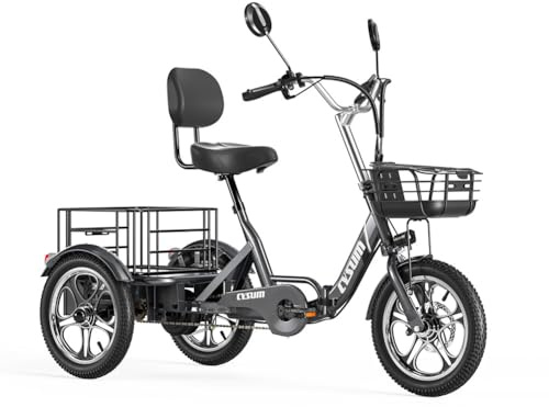 Sinaopus T1 pro E Bike Dreirad, 16'' Dreirad für Erwachsene Mit 48V 22AH Akku & 250W Motor Elektrofahrrad, LCD-Display, Geschwindigkeit 25 KM/H, 180 KM Reichweite, Elektro Dreirad Mit GroßEn KöRben