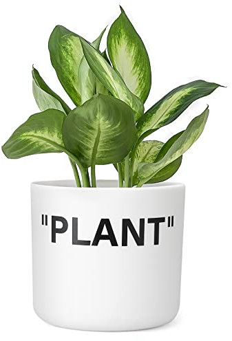 TwoDays Off-White Inspired Sneaker Planter, Hypebeast Room Decor, Small 5 Inch Cylinder White Plastic Indoor Plant Pot with Built in Drainage Hole, Mini Flower Pot, Sneakerhead Gift.