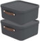 Rotho Maloja 2er-Set Aufbewahrungsbox mit Deckel 20 l, Kunststoff, anthrazit, 20 (39.5 x 38.0 x 17.7 cm)