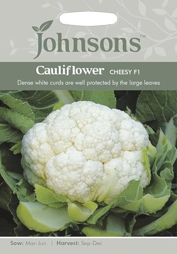 Johnsons Seeds Cauliflower Cheesy F1 Seed