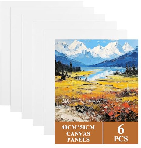 ASelected 6 Pcs Stretched Canvas 50 x 40 Cm Large Canvas for Painting, Primed Art Canvases for Painting 100% Cotton Acid Free Professional Art Canvases for Acrylic Oil Gouache Watercolour (White)