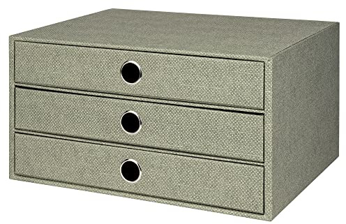 Rössler Papier 1524452673 - Caja S.O.H.O. de 3 cajones para DIN A4, con agujero de agarre, Special Line Sage, 343 x 250 x 185 mm, 1 unidad