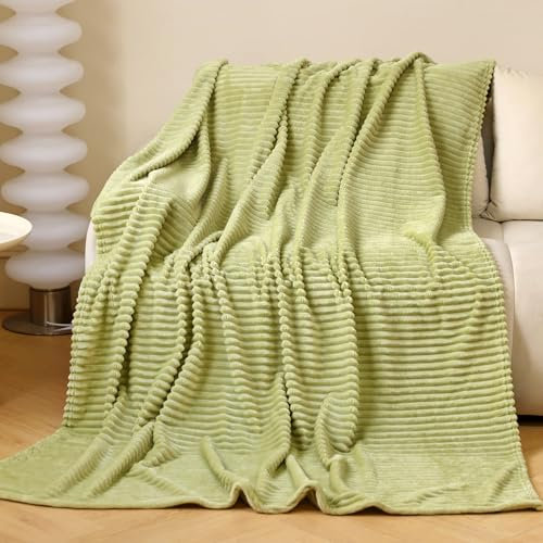 Rendiele Flauschige Fleecedecke als Sofadecke, Schlafdecke & Wohndecke (Matcha Grün, 150 x 200 cm)