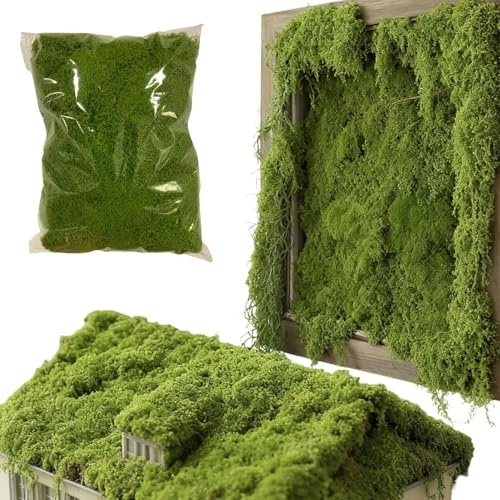 Bexdug Muschio finto, 300 g, decorazione da giardino, muschio per artigianato, per esterni, casa, vaso, terrario, fioriera, piante grasse, Natale, autunno, inverno, matrimoni, feste, vacanze