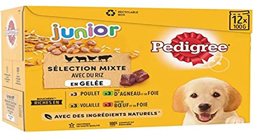 Pedigree Junior Selection Gelee Frischebeutel - Junior Hundefutter - 4 Verschiedene Geschmacksrichtungen - 48 Beutel à 100g