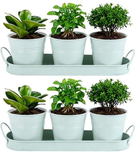 APACALI Paquete de 2 macetas de metal para alféizar de la ventana de la cocina, maceta de hierbas para interiores con bandeja con asas y agujero de drenaje, macetas de hierbas para plantar flores y