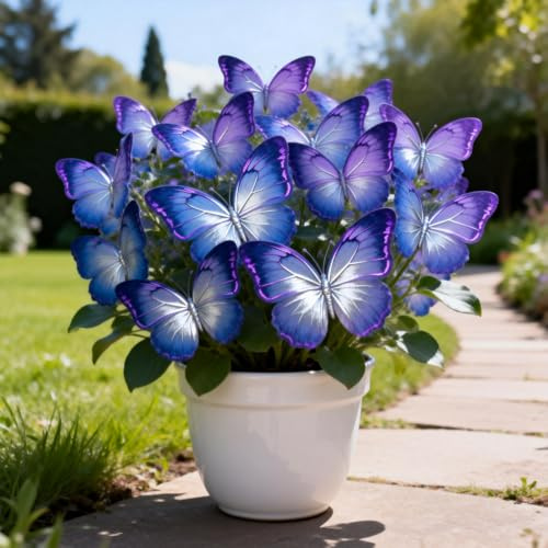 Kältefeste dauerhafte Ungewöhnliche Hosta,SchmetterlingHosta,Gartenkultur von Funkien,Blütenbildend, Optimale Gartenpflege, Einzigartige Hosta-4Rhizome-F