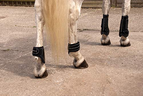 Rhinegold 30 DE Gamaschen und Streichkappen aus Lack/Kristall, cob-schwarz