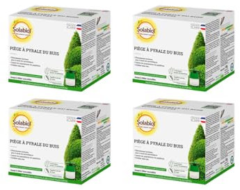 SOLABIOL 4 Pièges à Pyrale du buis - Attraction par Phéromone - 4 Pièges + 8 Seringues - Lutte Contre Les Papillons Mâles - Surveillance 6 Mois pour 720m2 SOPIBUISNX4