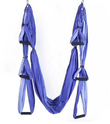 TOOSOAR Yoga Amaca Set Aerial,Aerial Yoga Swing,Anti-Gravity Yoga Pilates,con Manico in Schiuma Spessa,Carico Massimo 200 kg (Viola Chiaro)