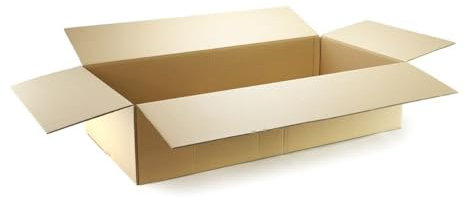 PROREGAL Zweiwelliger DHL Versandkarton | LxBxH 1200 x 600 x 310 mm | Belastbar bis 30 kg | Große Pappkiste Faltkarton Karton Paket