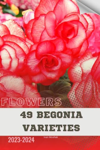 49 Begonia Varieties: Become flowers expert