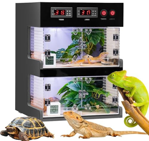 Caja Termostato Reptil, Terrarios Reptil, Tanque Reptil con partición Caliente y fría, Control de Temperatura Dual con Hebilla de Bloqueo, para lagartos, Ranas cornudas, Serpientes