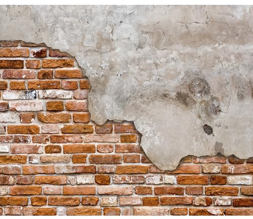 decomonkey Fototapete Steinwand Stein 400x280 cm XXL Design Tapete Fototapeten Tapeten Wandtapete moderne Wand Schlafzimmer Wohnzimmer Ziegel Ziegelmauer