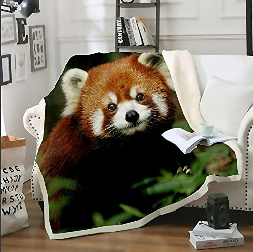 NBVGHJ Stampa 3D Simpatico Animale Panda Rosso Coperta Divano Letto Sedia Riposo Biancheria da Letto in Pile Decorazioni per Interni Casa Bambini Adulti 200×150CM