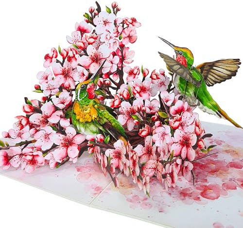 HEARTAGS- Romantic Pop Up Valentines Card, 3D Hummingbird Cherry Valentines Day Card For Wife, Husband, Him, Her, Girlfriend, Boyfriend, Adults | 6x8 in Valentine Day Pop Up Cards With Envelope