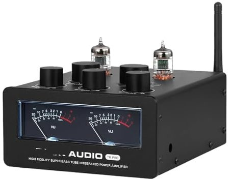 Amplificatore valvolare T6PRO HIFI TPA3255 5.1 Amplificatore valvolare JAN5654 con VU Meter 300W X2 con alimentatore da 48V