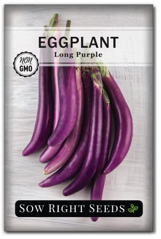 Sow Right Seeds - Long Purple Eggplant Seeds for Planting - Non-GMO Heirloom Packet with Instructions to Plant an Outdoor Home Vegetable Garden - Grow This Chinese Variety Indoors or Outdoors (1)