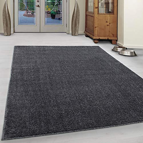 Ayyildiz Teppich-Teppich Modern Designer einfarbig kurzflor, Polypropylen, Grau, 80 X 150