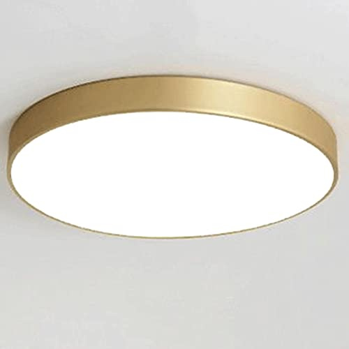 SIVAJI Plafonnier Circulaire Tricolore À Gradation Lampe À Panneau Décoratif À Baldaquin Éclairage Couloir Lumières Plates Plafonnier LED Intégré Rondes Ultra Minces De Plafond pour Le Salon Salle
