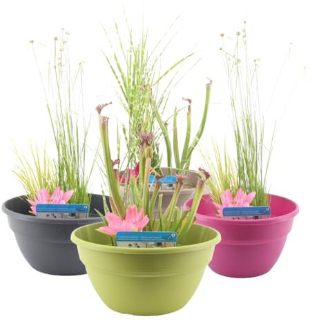 IFLO Terrassenteich Set – Kunststoff Miniteich 40cm, Pflanzkorb, Erde & 3 Wasserpflanzen, für Garten Balkon Terrasse, dekorativ & pflegeleicht (Taupe)