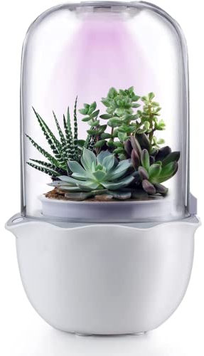 Ninfa - Maceta inteligente para suculentas y plantas pequeñas con luz de crecimiento, maceta suculenta con temporizador y ventilador, maceta de interior con orificio de drenaje, color blanco (sin