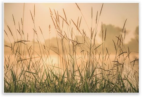 Stupell Industries Grassy Country Reeds Wall Plaque Art Design by Marty Hulsebos, 15 x 10