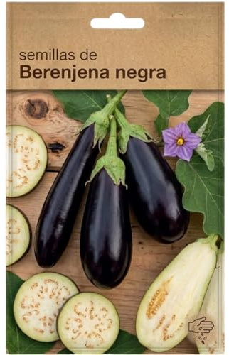Huerto Urbano con Semillas de Berenjena Negra DECOALIVE para Cultivo en Maceta y Exterior