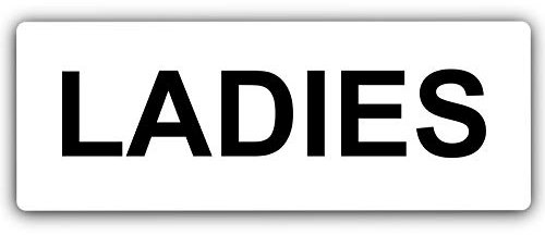 METAL Aluminum LADIES Toilet Sign-TEXT ONLY - WHITE -Toilets Lavatory,Restroom Door Notice Office Shop Home Warehouse School Toilets