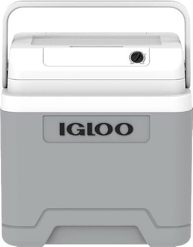 IGLOO IE24 AC/DC elektrische Kühlbox, 24 Liter, Mini-Kühlschrank 12/230 V für Auto, Boot und Freizeit, grau
