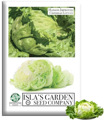 Hanson Improved Crisphead Lettuce Seeds (Lactuca Sativa) – 1000+ Heirloom Non-GMO Seeds by Isla’s Garden Seeds, Large Firm Iceberg-Type Heads for Cool-Season Gardens, Crisp Sweet Leaves for Salads