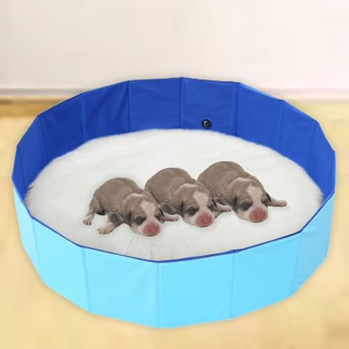 Cdycam Portable Birthing Pool for Dogs and Puppies, Foldable Whelping Pen, Dog Whelping Pool Box, Easy to Clean, Portable Hard Collapsible Pet Swimming Bath Pool (L-32x8)
