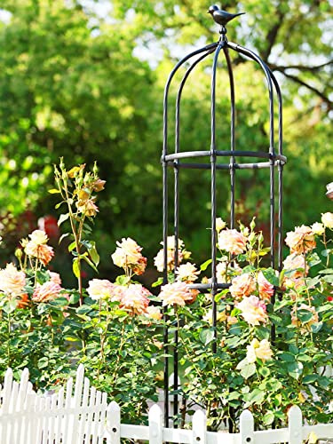 Obelisco da giardino resistente per rampicanti e rose, resistente alle intemperie, con parte superiore decorativa per uccelli, supporto robusto per piante rampicanti, nero, 230 x 50 cm