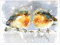 Weihnachtskarten mit Umschlag Set 10 Stück - Rotkehlchen, 10er Set A6 Weihnachts Klappkarten mit Umschlägen, Christmas Cards von Just Cards Direct