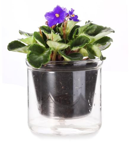 LAZUSAM 4 Inch Self Watering Pot,African Violet Pot,Bottom Watering Glass Planter for Indoor Plants and Progagation