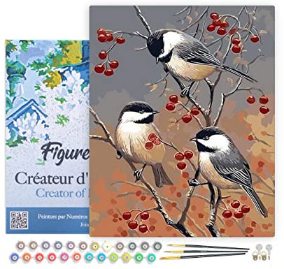 Figured'Art Peinture par Numéro Adulte avec Cadre Oiseaux et Arbre Fruitier - Activité Manuelle Kit de Loisir Créatif DIY Numéro d'Art Complet - 40x50cm toile tendue sur châssis