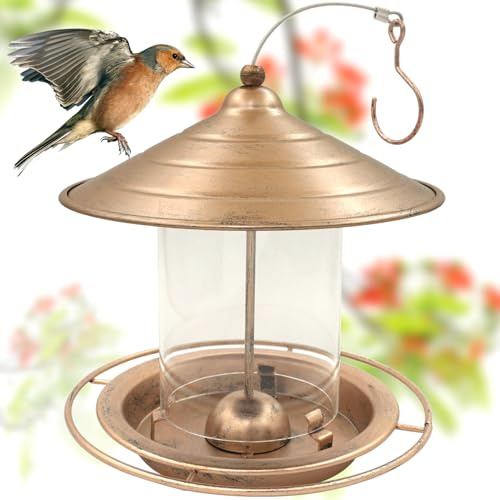 Zeqeey Mangeoire à oiseaux en métal à suspendre pour l'extérieur - Mangeoire pour graines pour l'alimentation des pinsons sauvages et des rouges-gorges dans le jardin