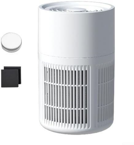 Jotekonoby Purificador de aire portátil, para HEPA y filtro de carbono para uso doméstico y oficina (B)