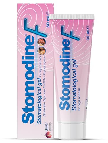 ICF | Stomodine F | Cat & Dog Toothpaste | Meat Flavour | Fights Plaque & Bad Breath | Healthy Dental Oral Hygiene | Easy To Use Teeth Cleaner For Pets
