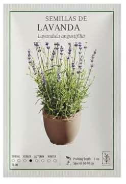 Semillas de Lavanda para Atraer Polinizadores y Decorar Jardines – DECOALIVE