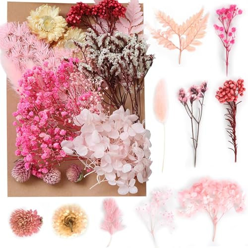 Hermosas Flores Secas Naturales - Set de Flores Preservadas para Manualidades, Decoración DIY, Incluye Variadas y Exquisitas Flores Naturales