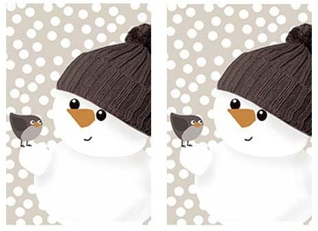Atelier 20 einzelne Taschentücher Weihnachten Schneemann über Vogel erfreut. 2 Packungen mit 10 Papiertaschentüchern als Geschenk. Weiß und orange, 4-lagig, Umweltfreundlich, Resealable Pack