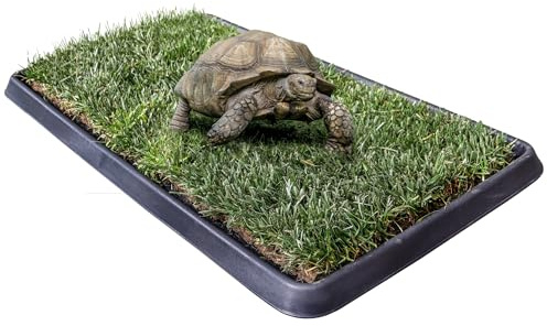 Kit M Tartarughe PetZolla 92x52 cm - Terrario Tartarughe terra in Vera Erba Naturale con Vassoio Riutilizzabile - Casetta per tartarughe di terra Naturale - Dura fino a 5 mesi